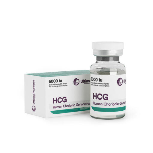 ultima hcg 5000iu 1